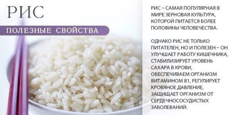 Рис: польза и вред, калорийность, состав, виды, как приготовить