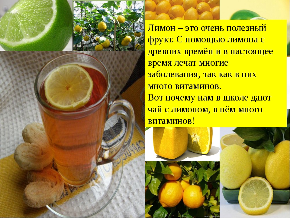 ?лимон: полезные свойства и состав | food and health