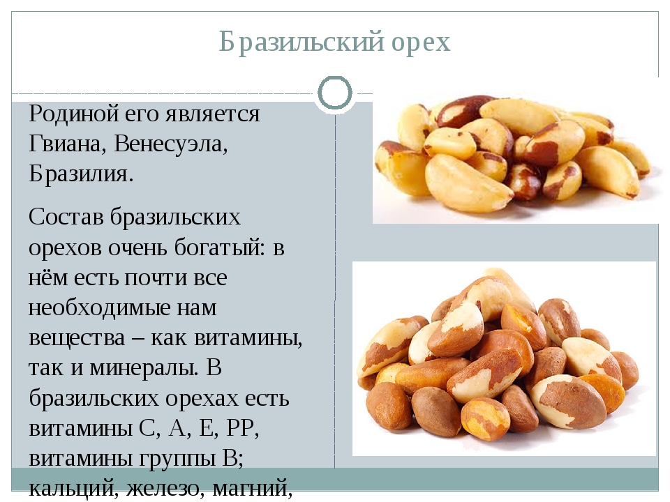 Полезные свойства, калорийность бразильского ореха – узнаете много нового! какую пользу и вред бразильский орех несет организму
