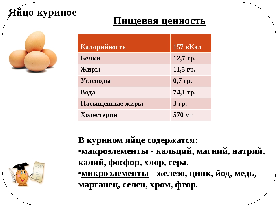 Калорийность 1 шт. белка вареного яйца: степень готовки яйца, количество калорий, пищевая ценность, состав и польза продукта - tony.ru