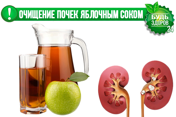 6 продуктов, которых следует избегать при гиперактивном мочевом пузыре • русский доктор