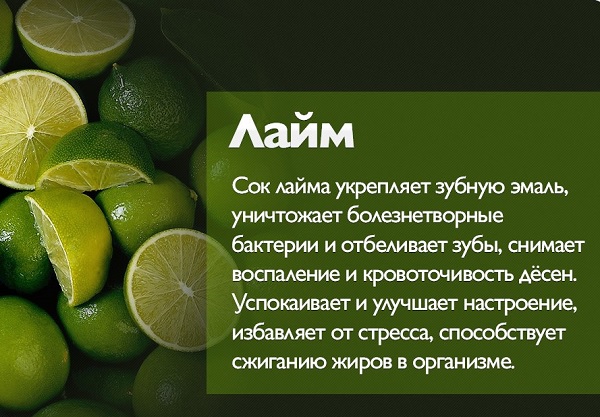 Лайм - свойства цитрусового, чем отличается от лимона