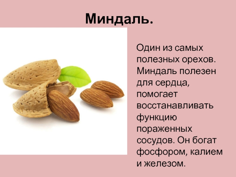 Сейшельский орех: польза, вред, как едят коко-де-мер, рецепты
