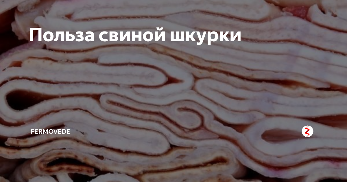 Шпик или сало: в чем разница и что вкуснее :: syl.ru