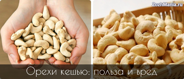 Кешью жареный – калорийность ореха, его польза и вред