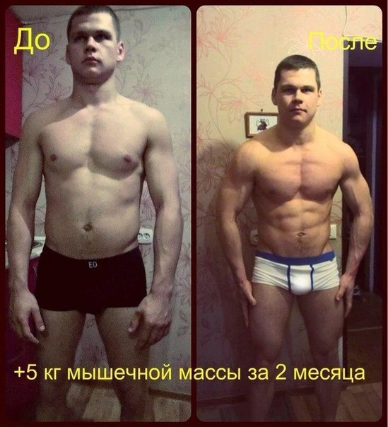 Сколько можно набрать мышечной массы за месяц, год, факторы роста