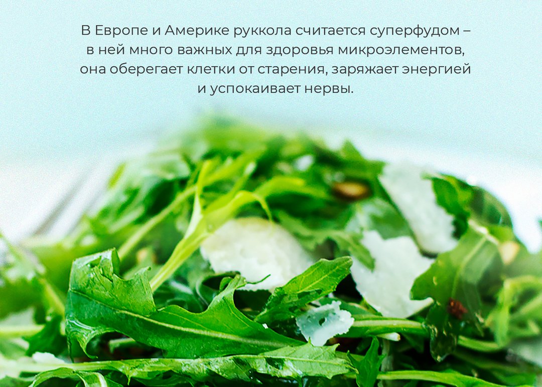 Рецепт овощного салата с растительным маслом и его калорийность :: syl.ru