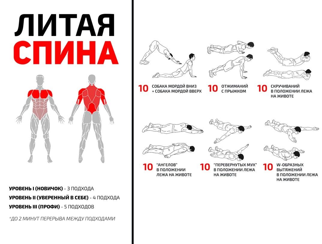Фитнес-тренировки дома: упражнения на все части тела