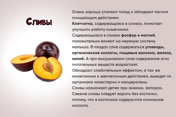 Слива - описание фрукта, полезные свойства и противопоказания, состав, калорийность, рецепты