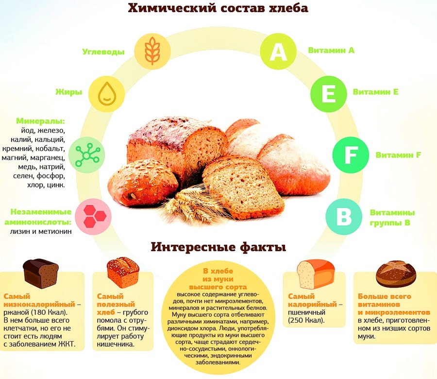 Масло какао: польза, вред и калорийность | food and health