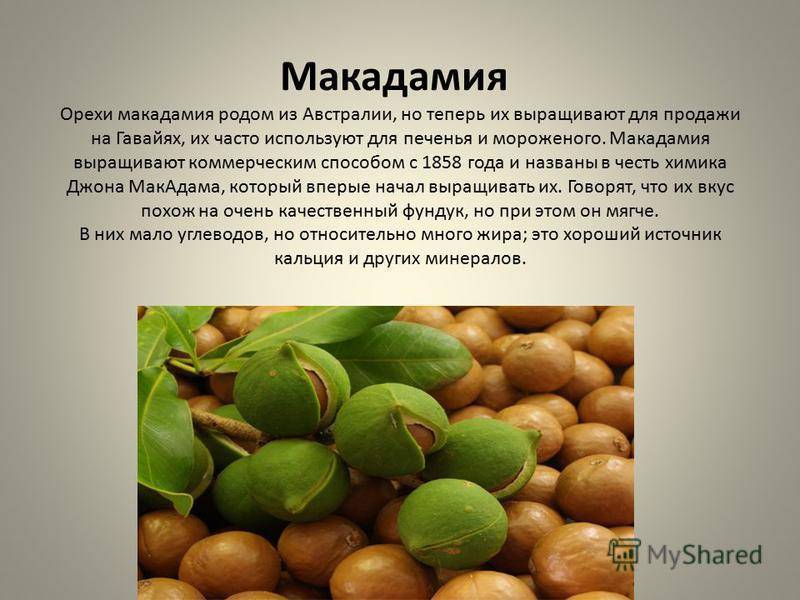 Орехи макадамия польза и вред для организма