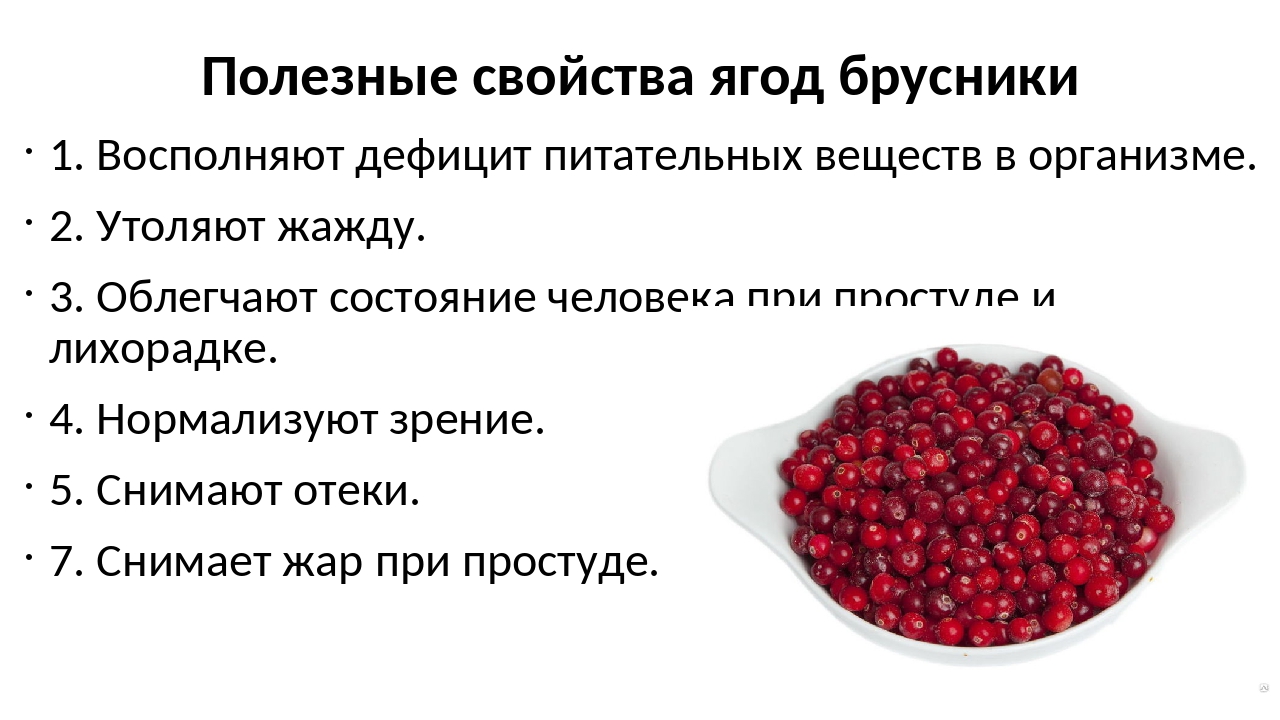 Брусника: полезные свойства ягоды и противопоказания