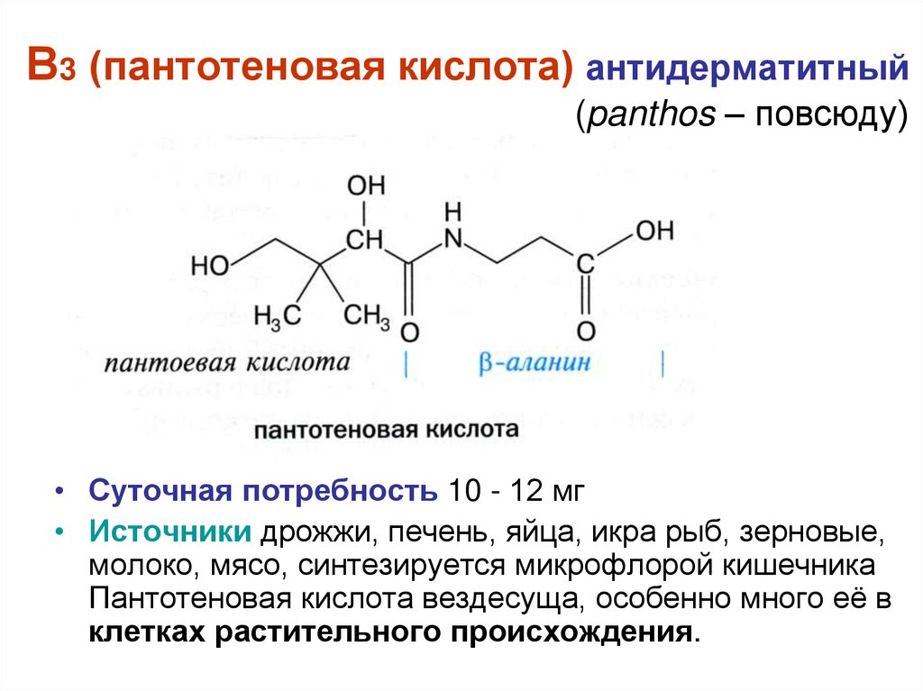Витамин b5 ( пантотеновая кислота, кальция пантотенат)