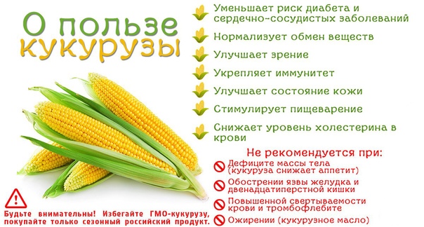 Масло кукурузное польза и вред, как принимать. чем полезно кукурузное масло | здоровье человека