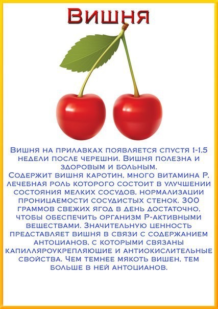 Полезна ли вишня? калорийность вишни :: syl.ru