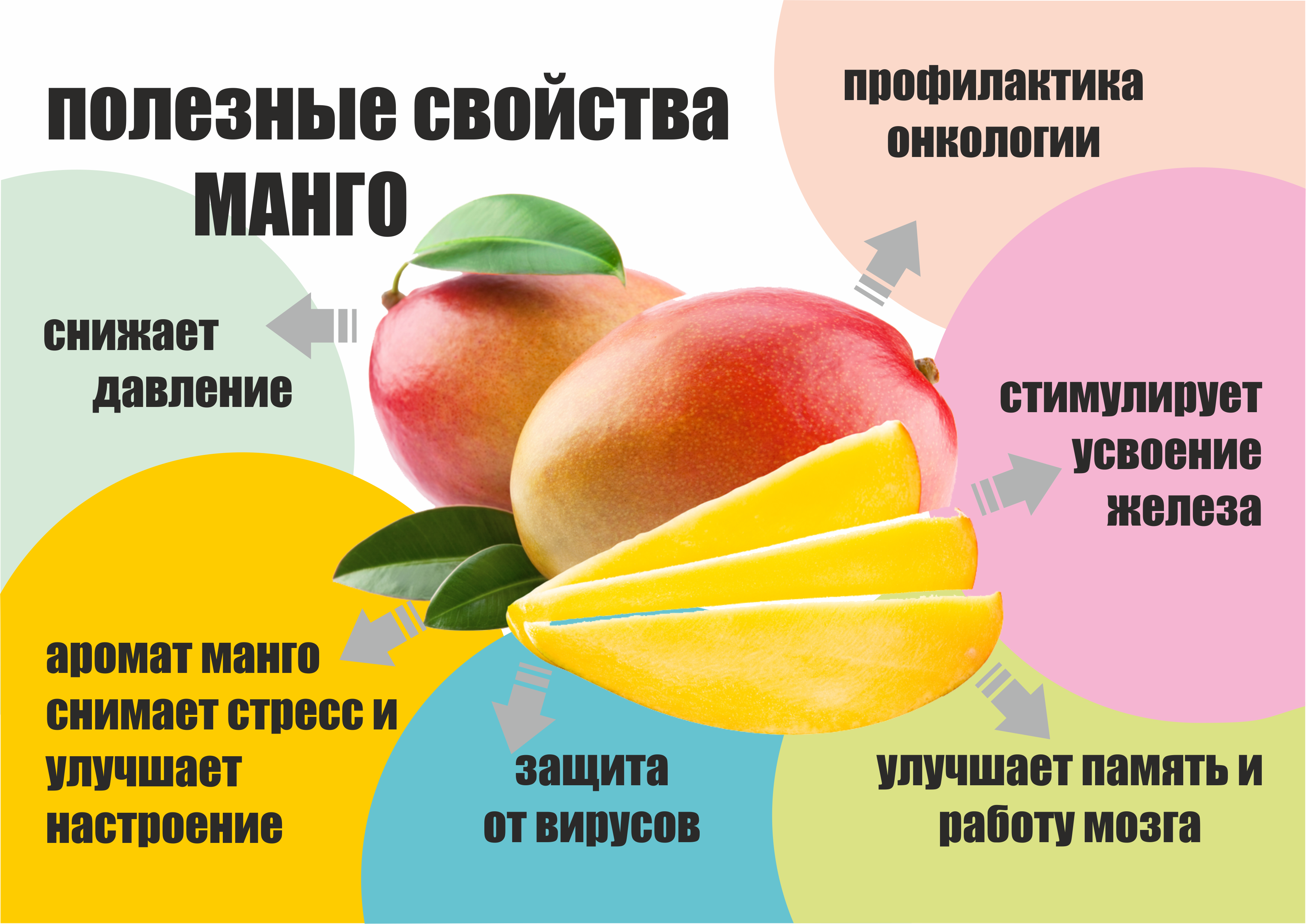 Подробная статья о пользе и вреде манго для здоровья человека В статье описаны 28 полезных и 6 вредных свойств этого фрукта Статья имеет дополнительную информацию: как использовать, как правильно выбрать и хранить, история возникновения, как и где произво