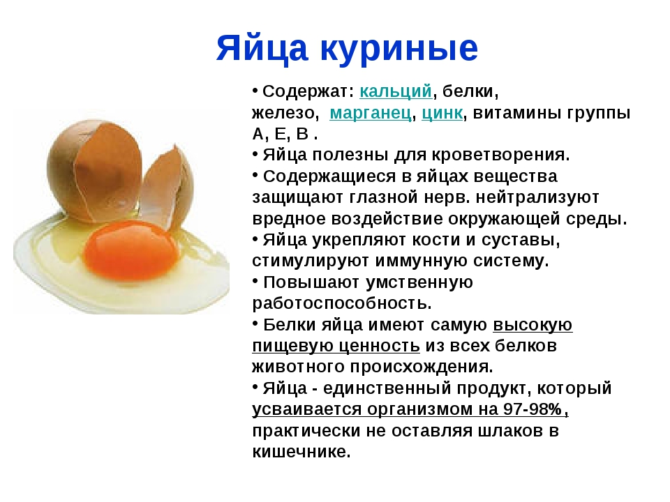 Яичный порошок (сухой меланж) содержание полезных веществ, польза и вред, свойства, блюда