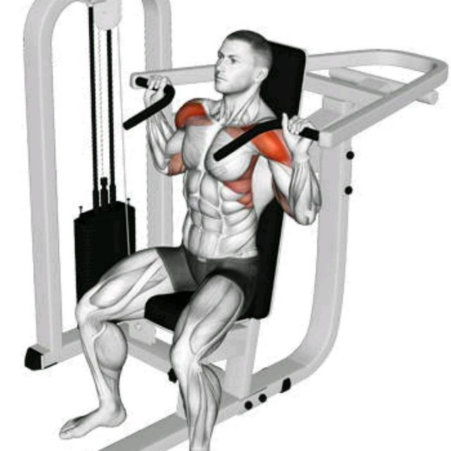 Армейский жим - упражнение для мышц плечевого пояса