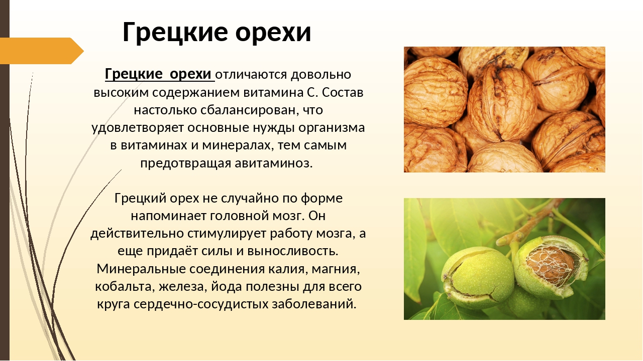 Орехи чинарики и их полезные свойства