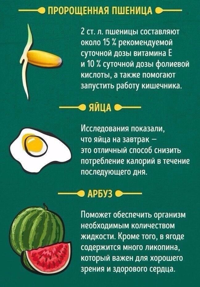 Как возникает голод и что им управляет - dietbest.ru