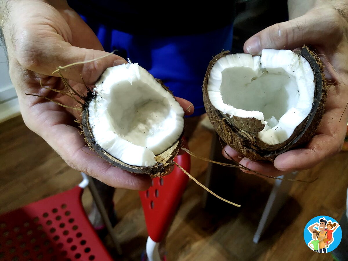 Как открыть кокос: 4 самых популярных и простых способа
