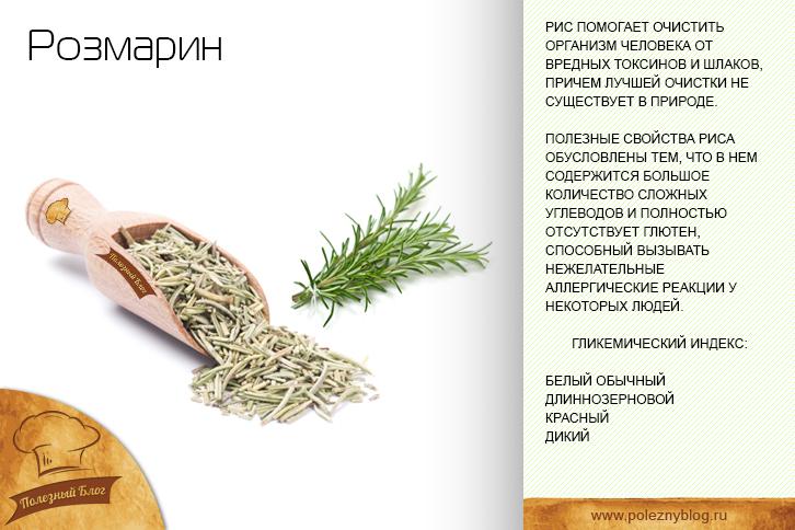 Рикотта (ricotta) — состав, калорийность сыра, польза, вред, вино к сыру — cheezu.ru