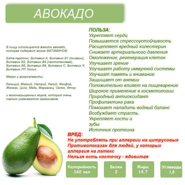 Авокадо – полезные свойства, состав и противопоказания