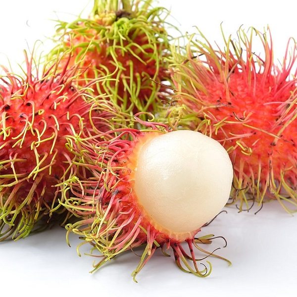 Рамбутан — описание, польза и вред фрукта, состав, калорийность. как вырастить рамбутан дома и как правильно есть плоды