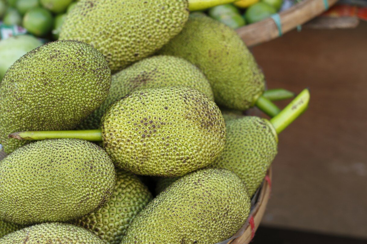Джекфрут — фото, вкус, что это за фрукт, отличие от дуриана, польза, свойства