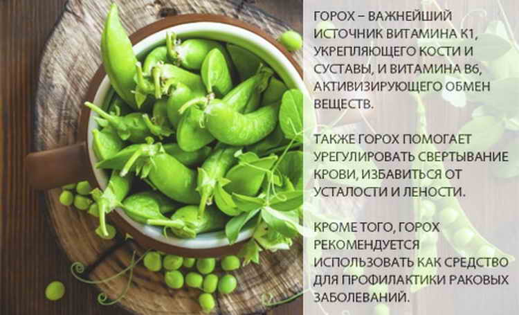 Зеленый горошек (свежий и консервированный): польза и вред