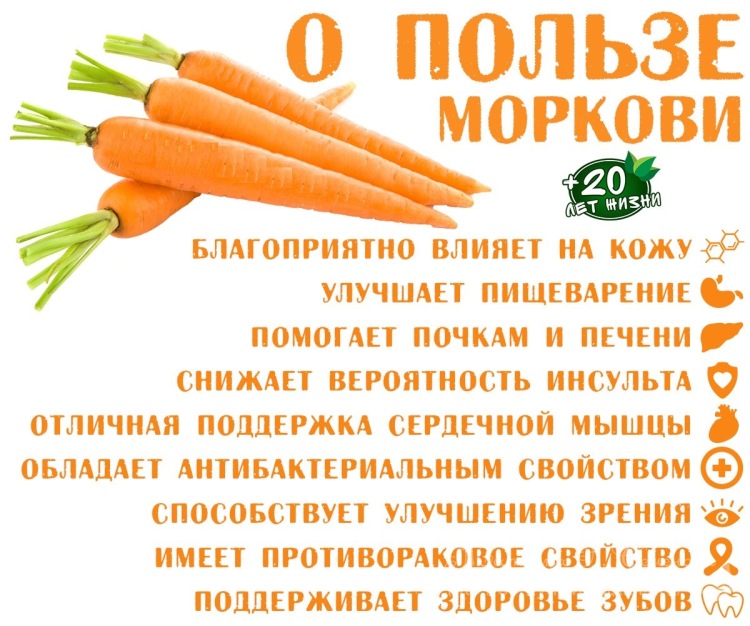 Можно ли корейскую морковку на диете? калорийность продукта