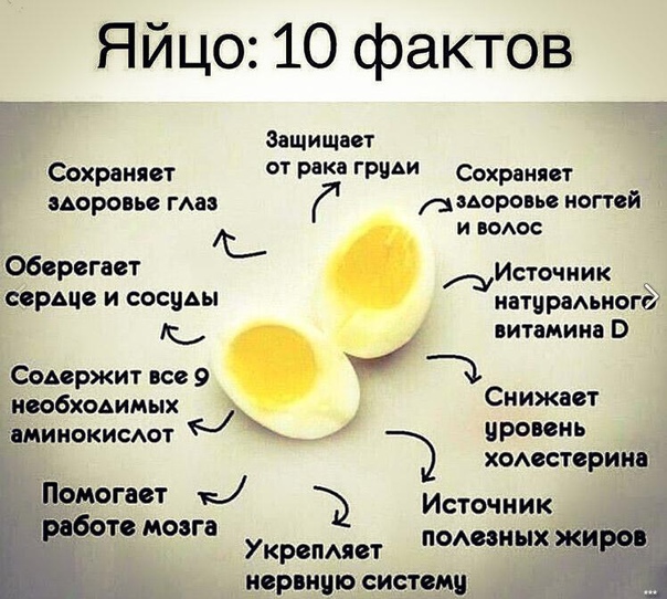 Сколько белка в одном курином яйце или на 100 грамм