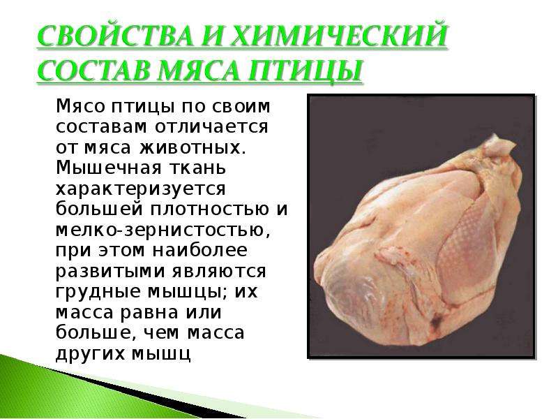 Польза и вред мяса утки для организма