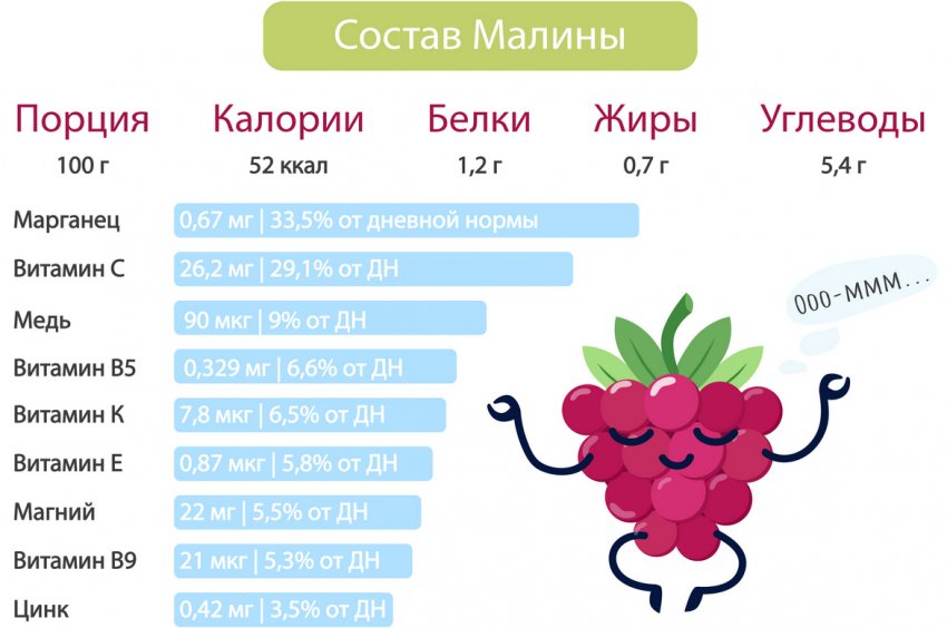 Малина — описание, полезные свойства ягоды