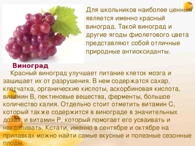 Виноград - польза и вред для здоровья, организма, калорийность