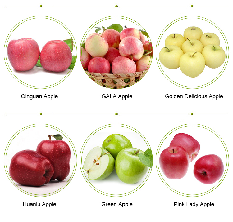 Яблоня фуджи: фото, описание сорта