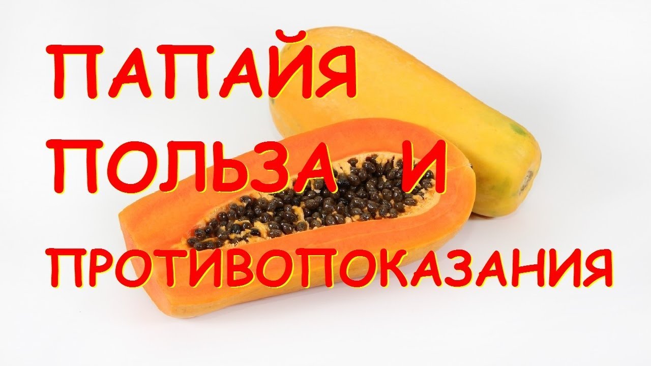 Экзотические фрукты от папайи до маранга: описание вкуса и фото, где попробовать