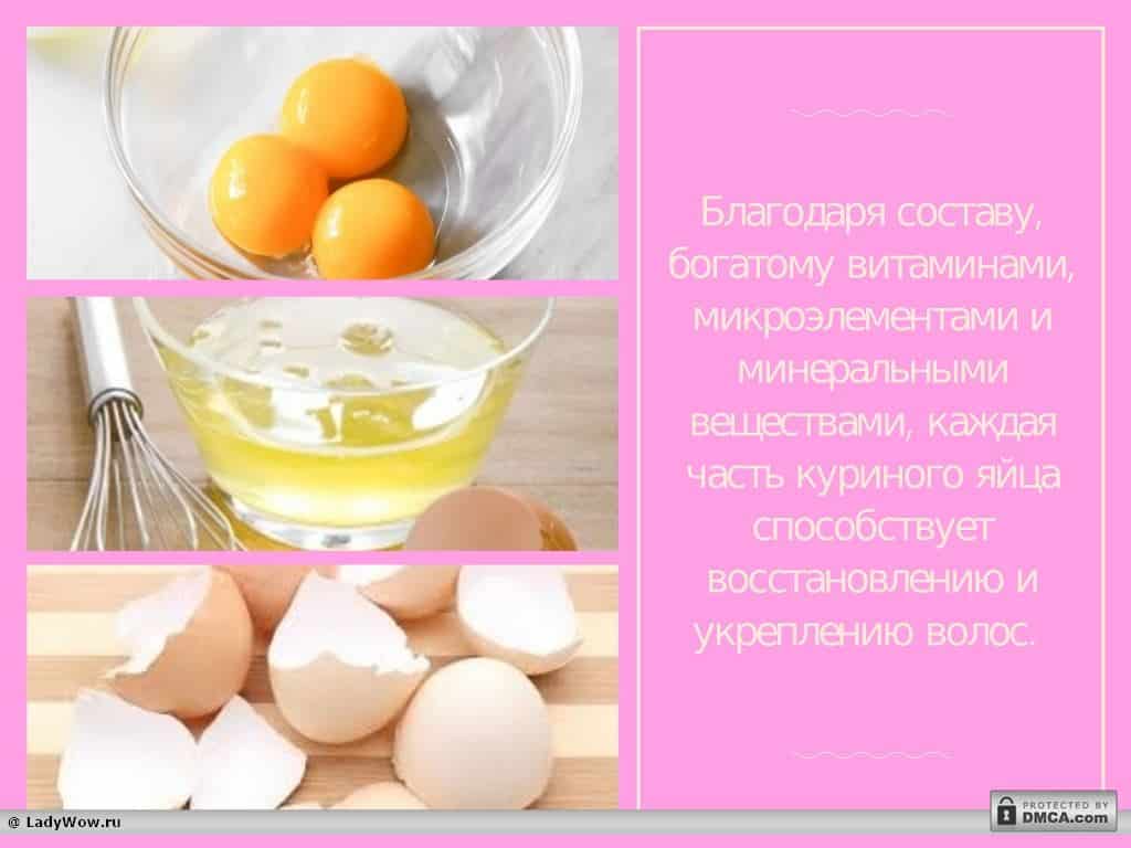 Яичный желток содержание полезных веществ, польза и вред, свойства