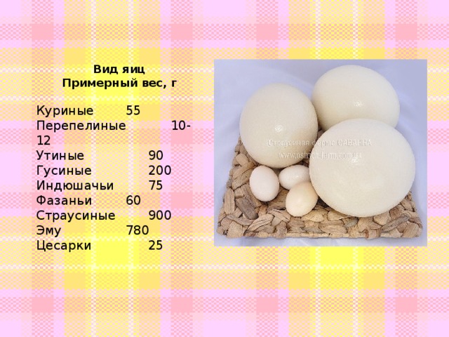 Гусиные яйца — польза и вред для здоровья