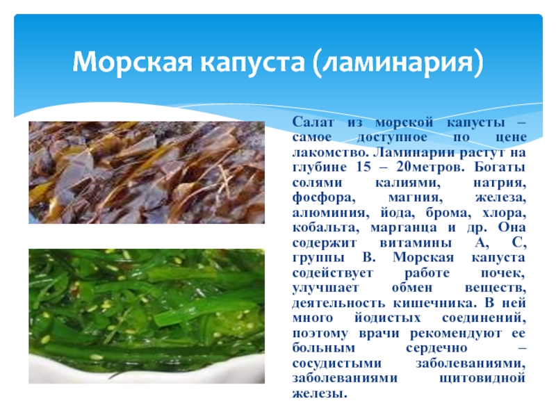 Морская капуста (ламинария) — калорийность и свойства. польза и вред морской капусты (ламинарии)