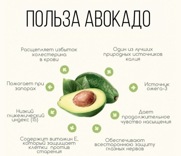 Авокадо: полезные свойства и вред для организма, калорийность, бжу