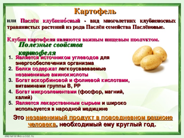 Батат  — польза и как приготовить сладкий картофель - l’officiel