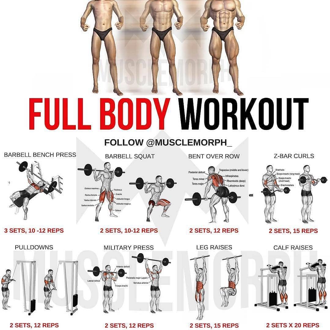Фулбоди: программа тренировок на все группы мышц (все тело)