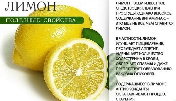 Вода с лимоном — польза и вред для организма мужчины и женщины. полезные свойства и противопоказания