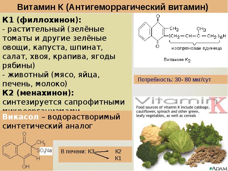 Витамин k (филлохинон): описание, источники, дефицит и избыток