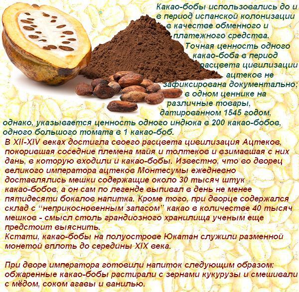 Чудо-бобы какао: удивительная польза и возможный вред для организма. вкусные рецепты для красоты на основе полезного какао