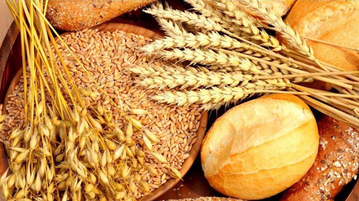 Пищевая ценность и химический состав пшеницы