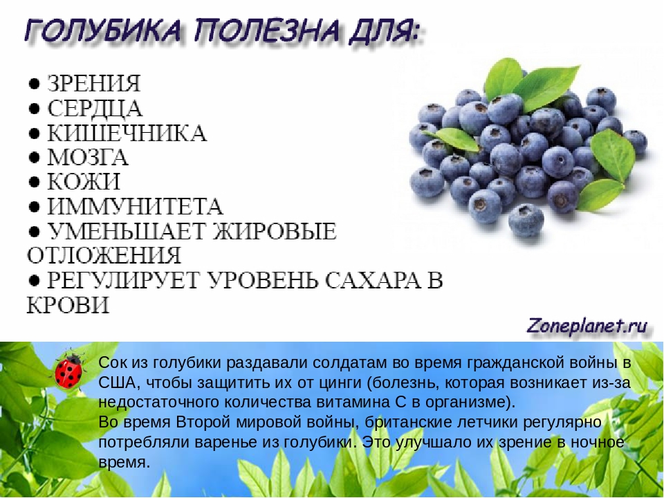 Голубика: свойства ягоды, польза и вред; состав витаминов и минералов; описание сортов