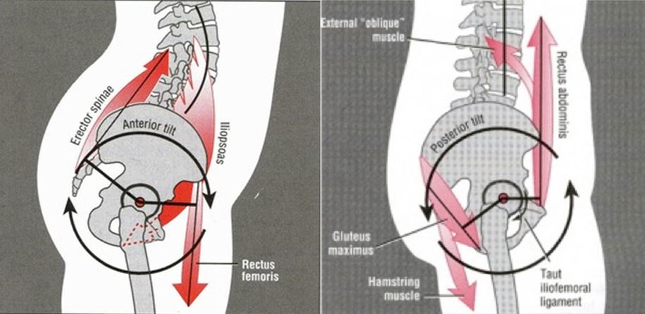 Боковая гиперэкстензия – упражнение для косых мышц живота и кора в целом Движение пришло к нам из тяжелой атлетики, там оно служит для укрепления центра тела, чтобы подготовить организм к выполнению рывка и толчка