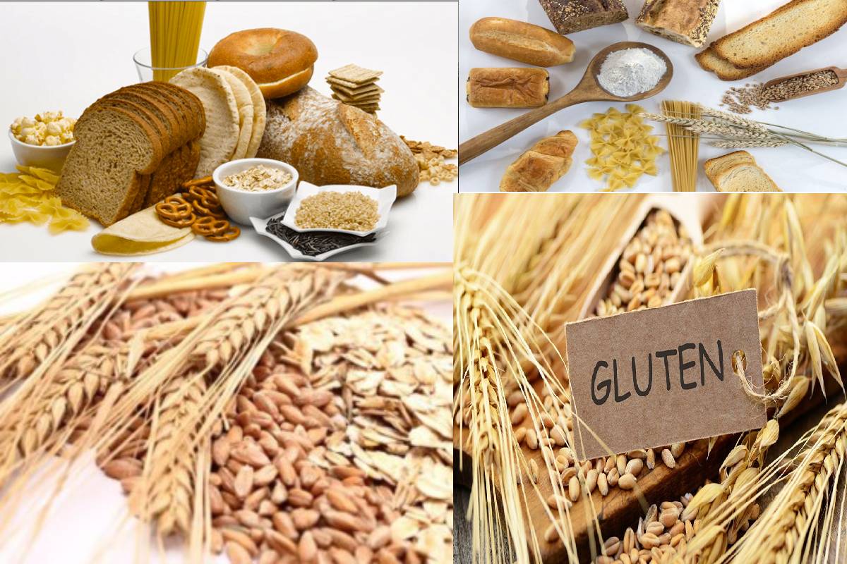 Пшеница: польза и вред для здоровья, глютен в пшенице